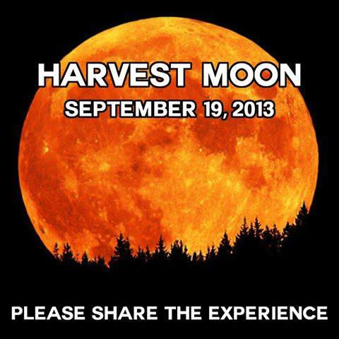 harvestmoon