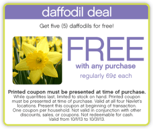 daffodil-deal