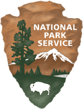 NPS