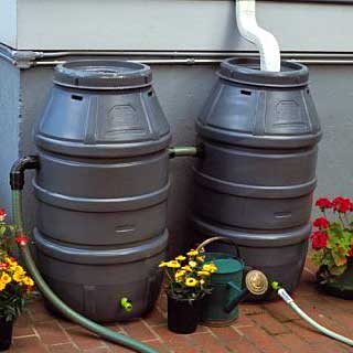 rainbarrel