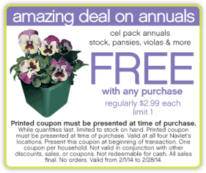 amazing-deal-on-annuals