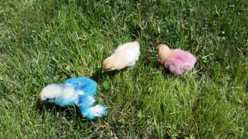 00T0T_4g0FM7H8rk9_600x450