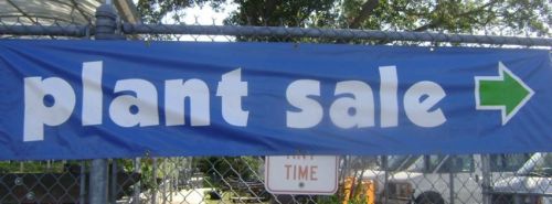 plant sale