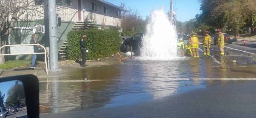 16106735_10155074807902847_1030520172_o