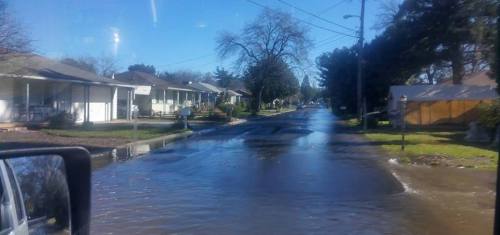 16112017_10155074807737847_128862732_n