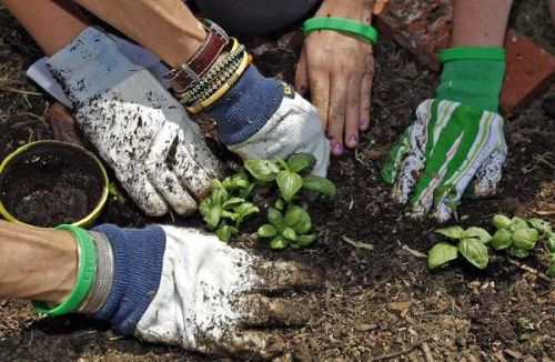 6a00d8341c630a53ef0120a85bc81b970b-600wi